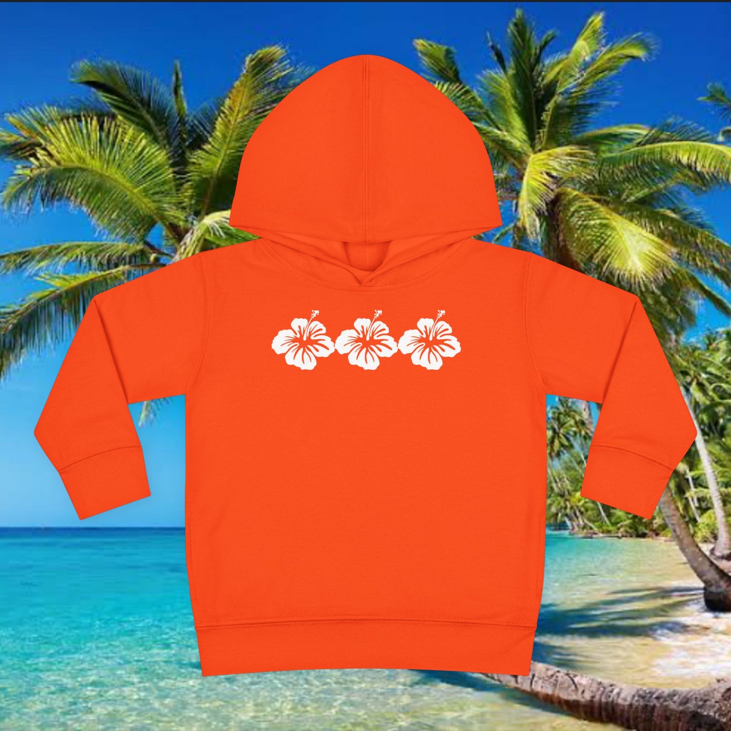 Toddler Coast Hoodie